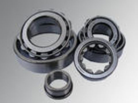 Cylindrical Roller Bearings